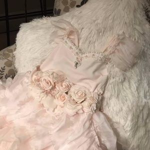 dollcake sugar ruffle
